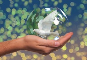peace hand holding dove